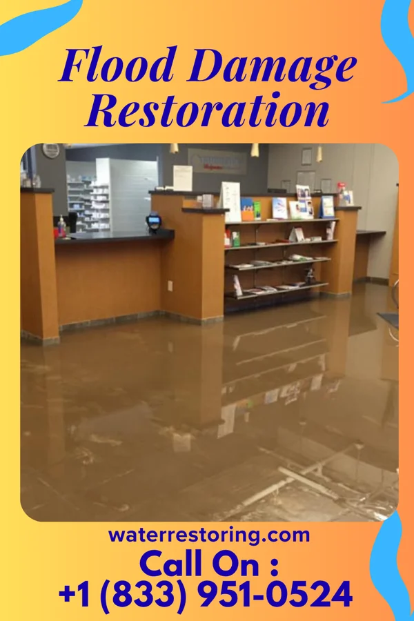 Flood Damage Restoration in Sedan, MN