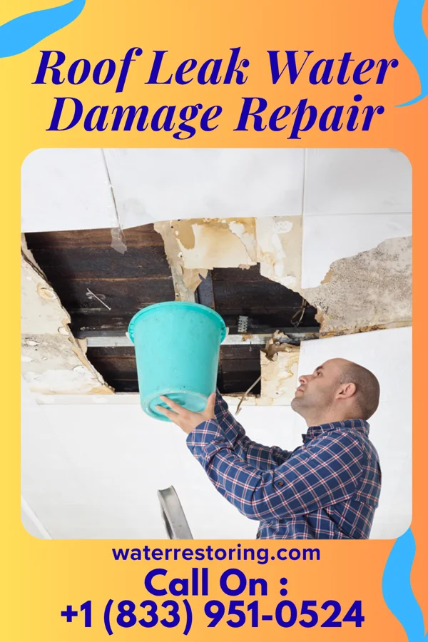 Roof Leak Water Damage Repair in Sedan, MN